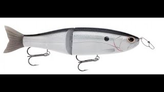 Storm Arashi Glide Bait Review