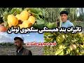بند سنگجوی لومان چه تأثیر در قریه دمجوی قلندری گذاشته بند سنگجوی لومان چه تأثیر در قریه دمجوی قلندری گذاشته
