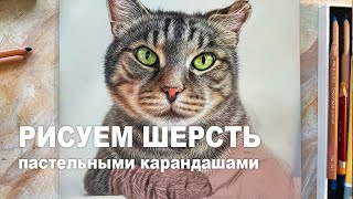 РИСУЕМ ШЕРСТЬ КОТА