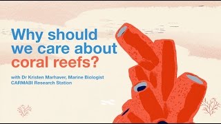 Why should we care about coral reefs?