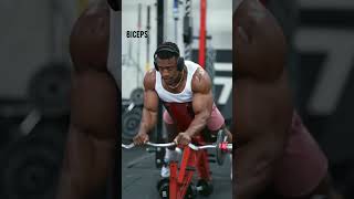 فجر عضلات الباي بهذه 3 تمارين biceps fitness bodybuilder gym