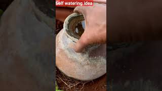 Self Watering System Idea For Plant In Summer shorts gardening ytshorts gardenings