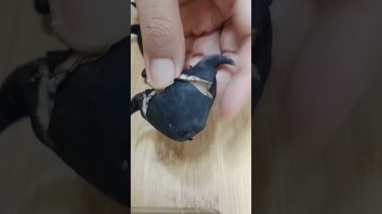 Satisfying Cutting Water Caltrop 