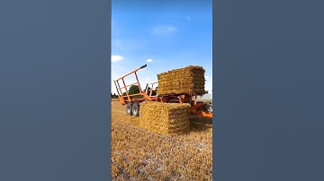 Collecting Bales like a boss - Farming - Fendt Tractor #farming #shorts #agriculture #tractor #bales