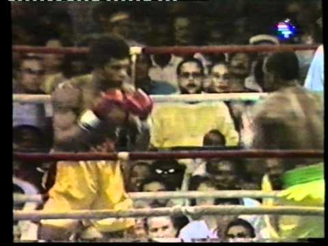 Mike McCallum vs Julian Jackson (Good quality)