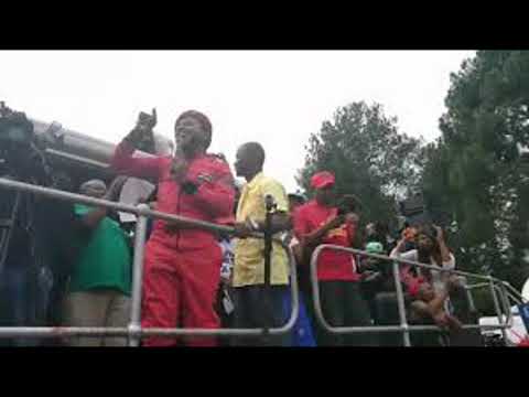 EFF Biko