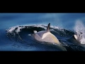 Understanding the Southern Ocean and Conservation Efforts