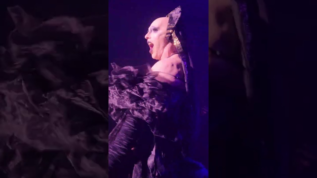 Cheddar Gorgeous - Perth 2023