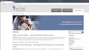 Identifying Web Accessibility Issues