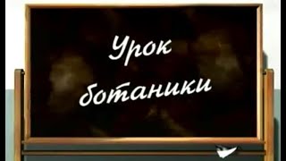 Урок ботаники - Песня о микроскопе Урок ботаники - Песня о микроскопе