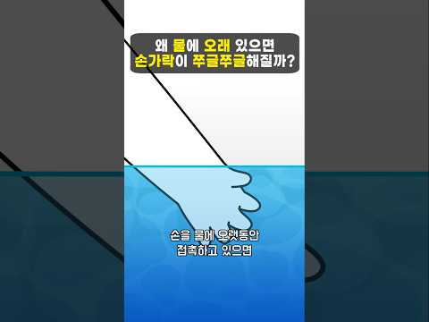 왜 물에 오래 있으면 손가락이 쭈글쭈글해질까?