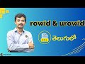 rowid and urowid in sql explained in telugu by teluguwebguru