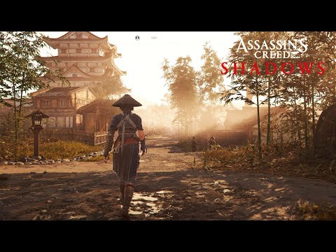 Brand New Assassin's