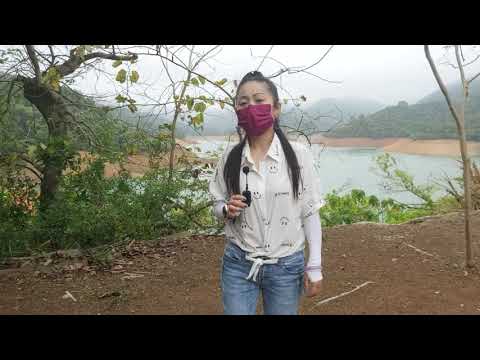 孤單背影  雯雯💯💯🌷🌷