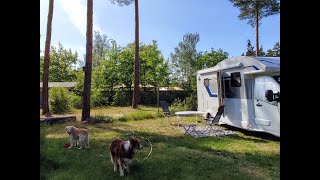 2025   Camping Lausiger Teich