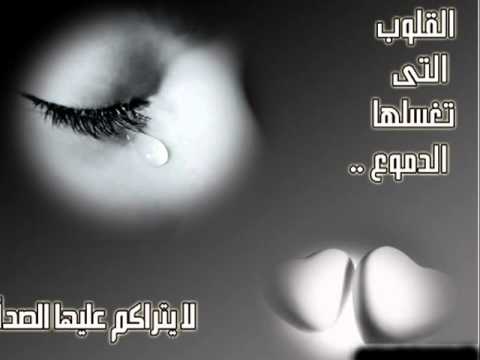 يارب ان عظمت ذنوبى لمشارى العفاسى