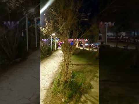 العراق الموصل منطقة الزهور