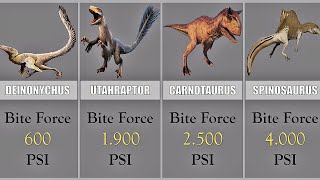 Carnivore Dinosaurs Bite Force Comparison
