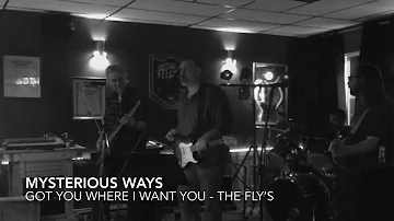 GOT YOU WHERE I WANT YOU - The Fly’s