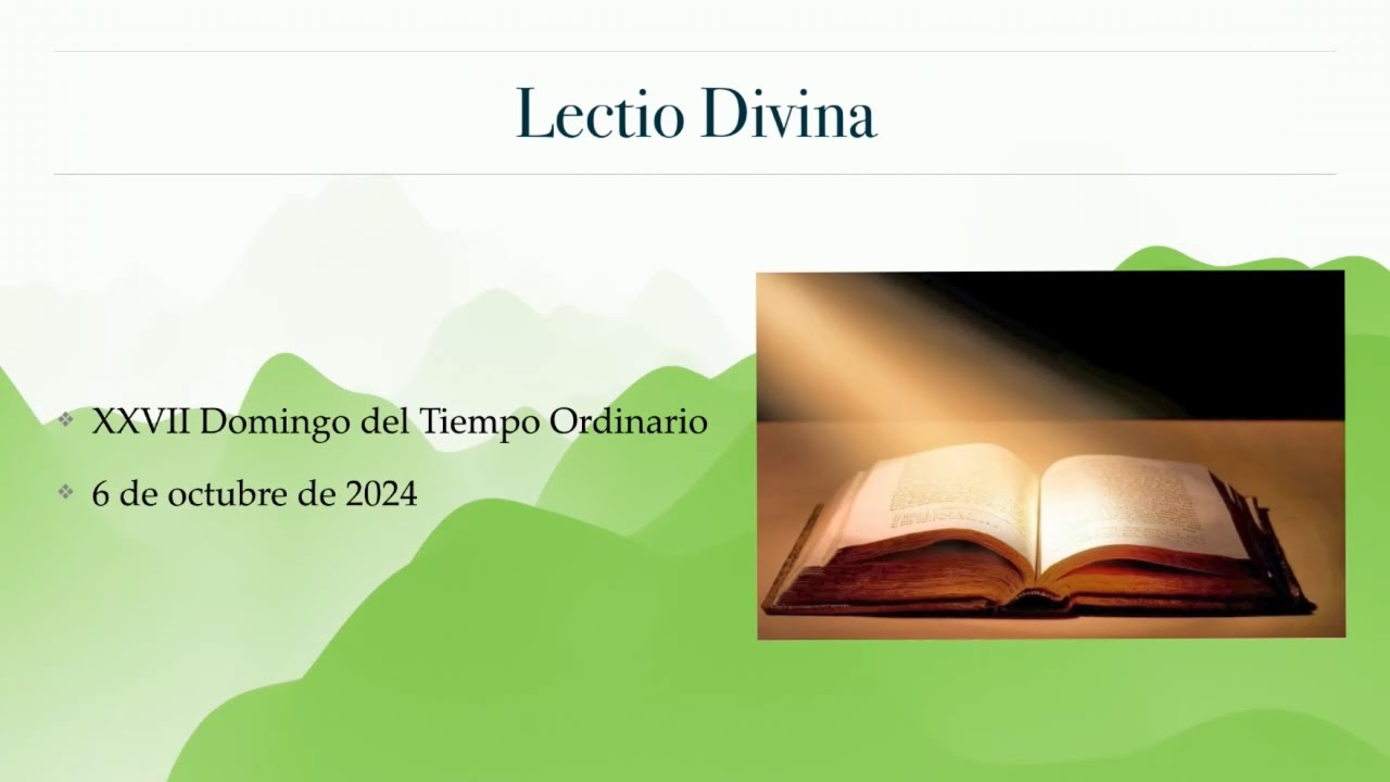 Lectio Divina XXVII Domingo del Tiempo Ordinario - YouTube