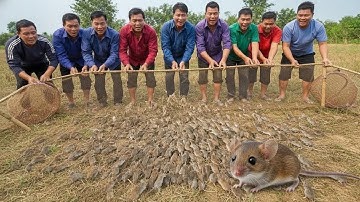 Tôi Đã Thử Quây Lưới Bắt Chuột Và Phát Hiện RA Sự Thật!