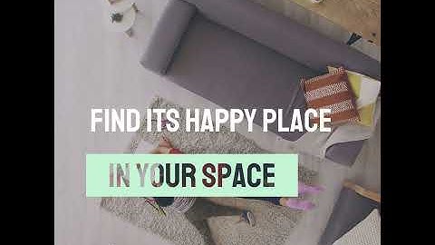 How to Create Your Custom Rug