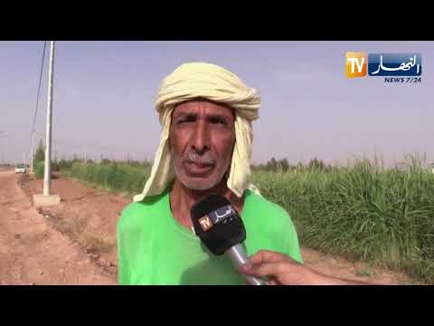 بشار مستثمرات فلاحية بمنطقة حاسي الهواري تتدعم بالكهرباء 