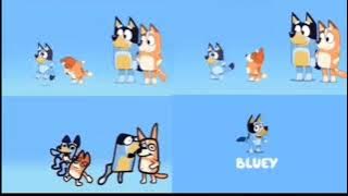 Bluey Intro Vs Bingo Intro Vs Bluey Homemade Intro Vs Pilot Intro