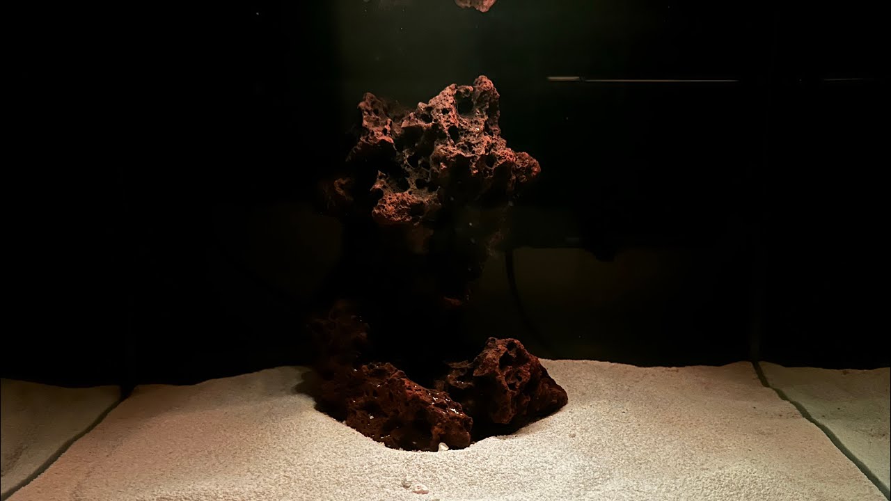 Monolithic white sand fresh water tank set up Japanese round corner