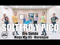 SOLTERO Y PICO - Oro Solido - Mega Mix 85 - Zumba - Merengue l Coreografia Oficia l l Cia Art Dance