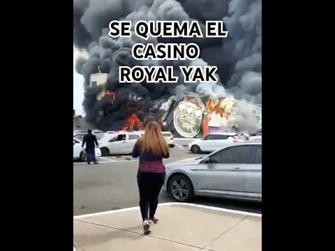 Juegos de belleza en el casino online con dinero real 😍 Casino online para argentinos 2022