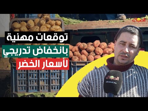 توقعات مهنية بانخفاض تدريجي لأسعار الخضر بعد الأمطار 