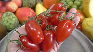Plum Tomatoes