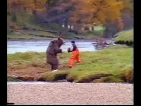 Bear kicks man in nuts