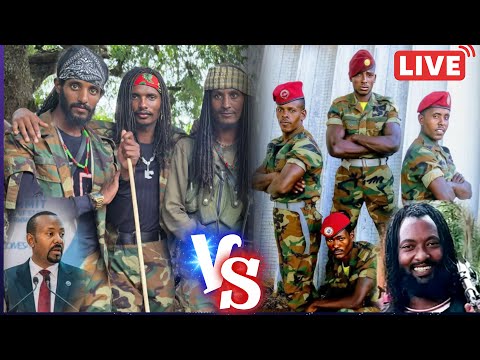 Waal Faalmi Waraana Mootummaa Fi Wbo Waraana Bilisumma Oromoo Oduu Ammee