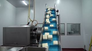 Cubing and Dicing Mozzarella with Deville Technologies' Inline Cuber integrated with other equipment