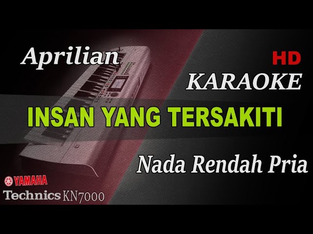 APRILIAN - INSAN YANG TERSAKITI ( NADA RENDAH PRIA ) || KARAOKE class=