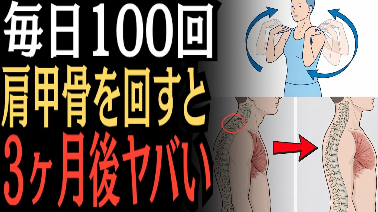 【知らないと損】肩甲骨を毎日100回回した結果…体が別人レベルに変わった!