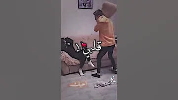 انت تؤمر يا قلب بابا 