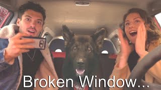 My Dog Reacts to Car Wash for the first time by Buddy & Friends 45,018 views 3 years ago 3 minutes, 23 seconds