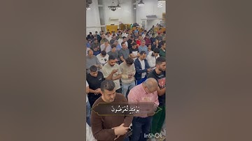 من سورة الحاقة للقارئ عمر شلبي تلاوة رائعة