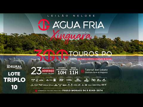 LOTE T10