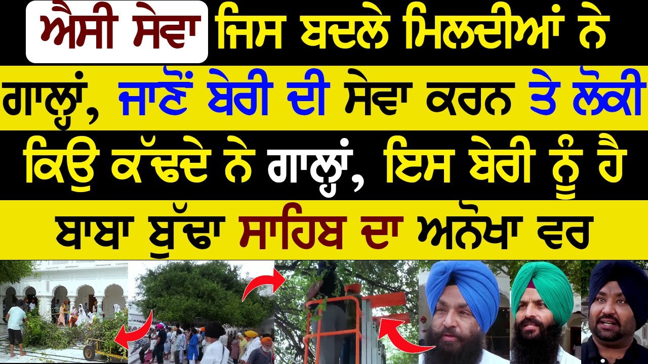 ਐਸੀ ਸੇਵਾ ਜਿਸ ਬਦਲੇ ਮਿਲਦੀਆਂ ਨੇ ਗਾਲ੍ਹਾਂ, ਜਾਣੋਂ ਬੇਰੀ ਦੀ ਸੇਵਾ ਕਰਨ ਤੇ ਲੋਕੀ ਕਿਉ ਕੱਢਦੇ ਨੇ ਗਾਲ੍ਹਾਂ