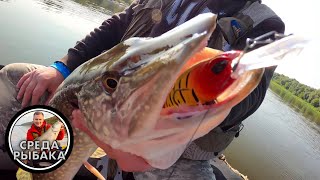 видео: Осенняя рыбалка на спиннинг | Рыбалка на ОКЕ в районе Тарусы картинка: Осенняя рыбалка на спиннинг | Рыбалка на ОКЕ в районе Тарусы