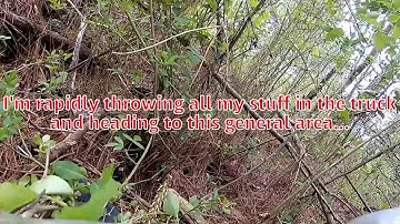 Timber-X Brown-Outs & CRASH!!