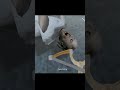 GRANNY KILLED 😰 LIVE GAMEPLAY || NO COMMENTARY ||#granny #grannylivegameplay #shortslive 