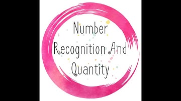 Number Recognition and Quantity Activity