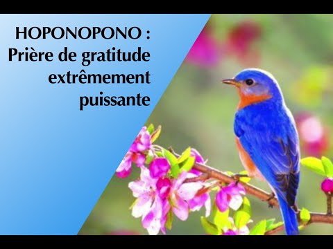 Ho'Oponopono et Prière de gratitude extrêmement puissante de gratitude.