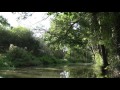 The Wey   & Arun Canal