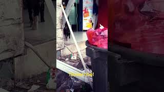 Abg Bongsor   cat bersemangat automobile boboiboydankawankawan